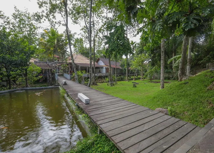 Resort Sari Health 3*
